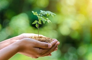 imagem As Vantagens de Contratar uma Consultoria Ambiental